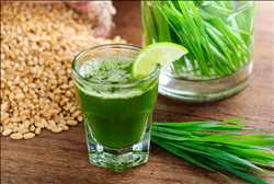 Alimentos y Bebidas Energéticas