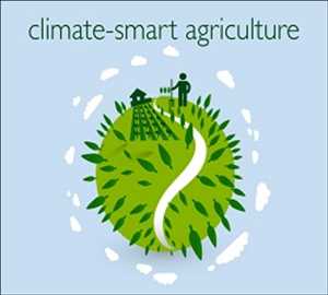 Agricultura climáticamente inteligente