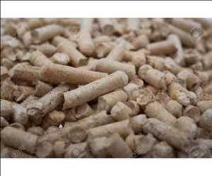 Tendencia global del mercado de pellets de biomasa