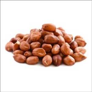 Pronóstico del mercado global Redskin Peanuts