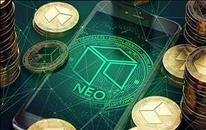 Banco Neo y Challenger Oferta-demanda del mercado