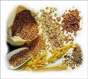 global-Insoluble-Dietary-Fiber-market