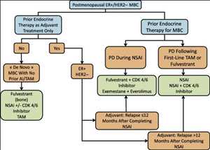 Global Metastatic Breast Cancer Drug Market Focuses On Growth Factors, Technological Innovation, Growth And Forecast From 2022 To 2027