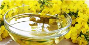 global-Rapeseed-Processers-market