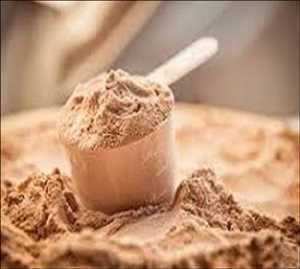 global-Whey-Protein-Ingredient-market