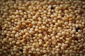 Global-Amaranth-Seeds-Market