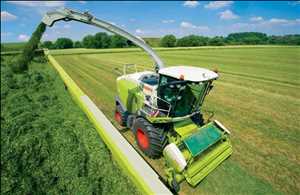 Global Silage Additives Market Future Data