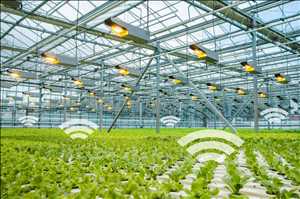 Global-Smart-Greenhouse-Market