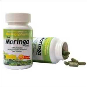 Productos de moringa Mercado Demanda-Oferta