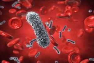 Global-Acinetobacter-Infections-Treatment-Market