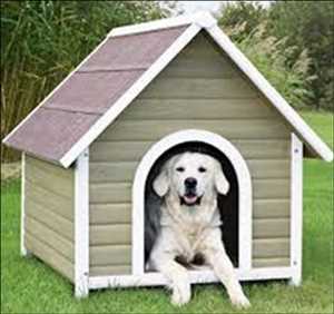 Global-Dog-Kennels-Market