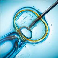 In Vitro Fertilization Market Future Demand, Business Strategies, Industry Growth, Regional Outlook, Challenges and Forecast 2028