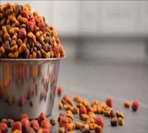 Global-Pet-Food-Market