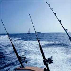 Global-Sea-Fishing-Rods-Market