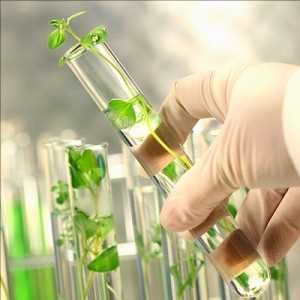 Global-Agricultural-Biologicals-Market