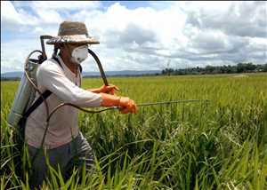 Global Desinfectantes Agrícolas Ingresos