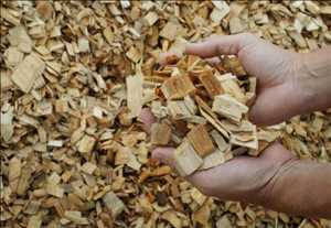 Global-Wood-Pulp-Market