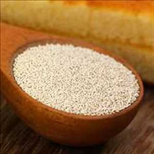 Global-Yeast-Ingredients-Market