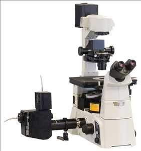  Datos históricos del mercado mundial de microscopio confocal