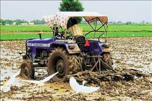 Tasa de crecimiento del mercado mundial de mecanización agrícola