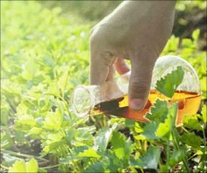 Surfactantes Agrícolas Mercado