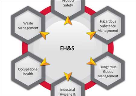 Salud ambiental y seguridad Mercado