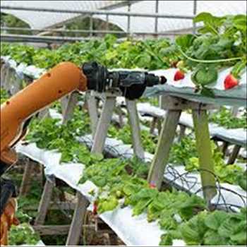 IA en la agricultura Mercado