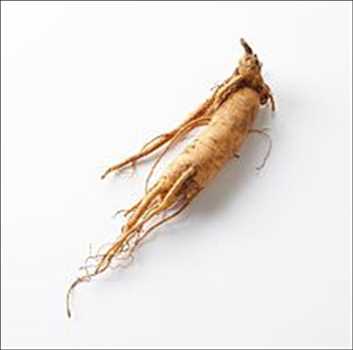 Ginseng Mercado