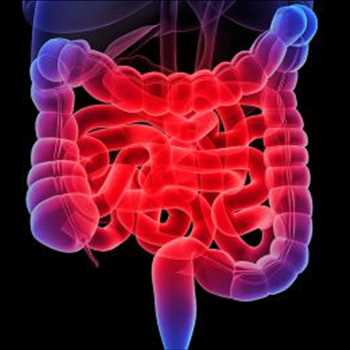 Tratamiento de la enfermedad inflamatoria intestinal Mercado