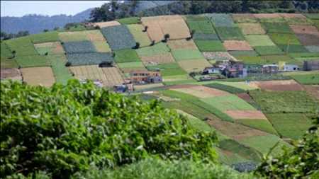 Controlador de insumos agrícolas Mercado