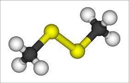 disulfuro de dimetilo Mercado